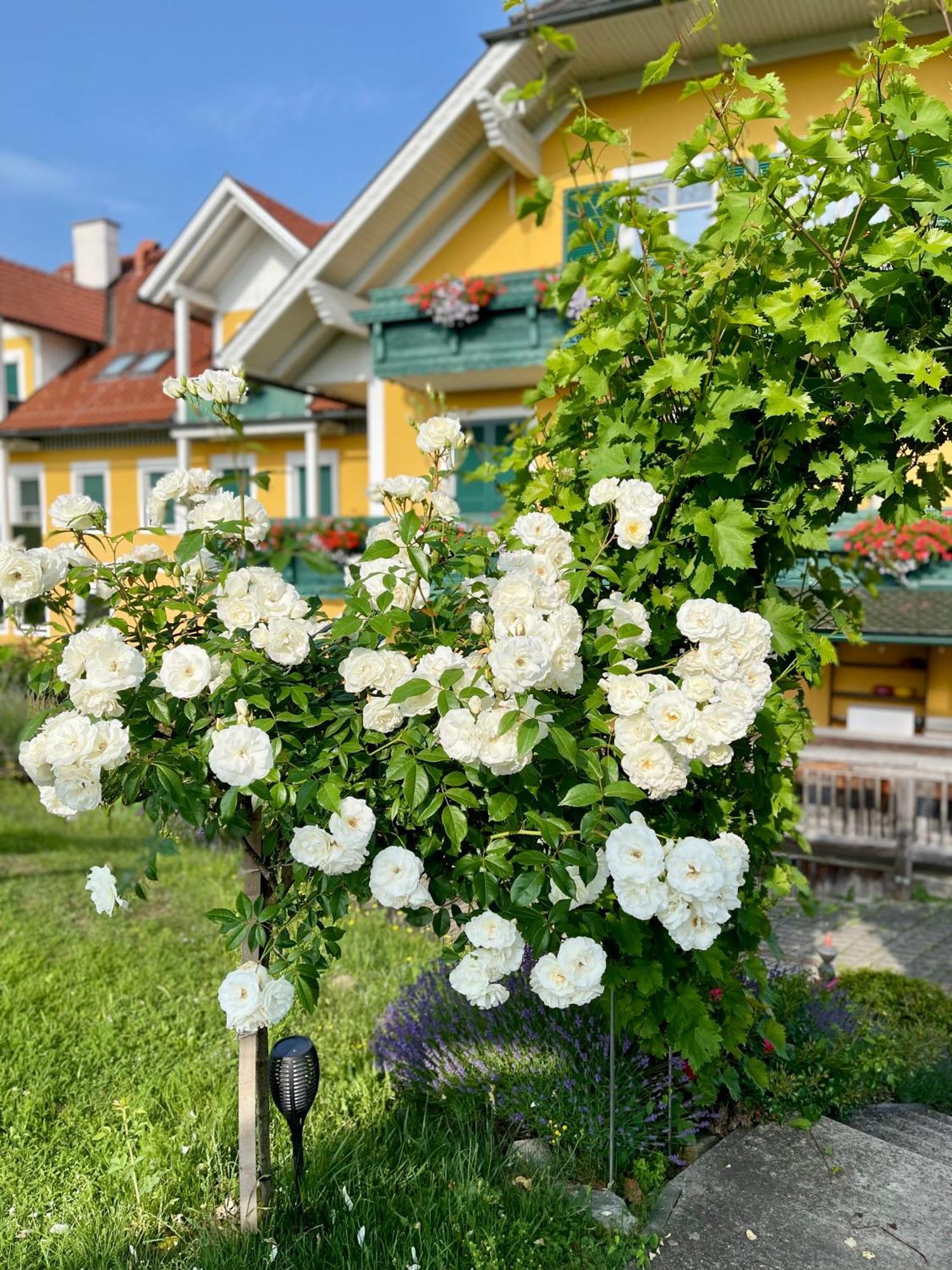 Hotel Panoramahotel Steirerland Kitzeck im Sausal